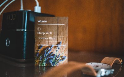 Product review of Bose Bluetooth speaker 2024 in the USA